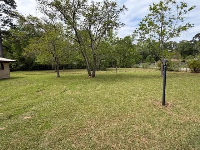 167 Linnwood Drive Woodbranch, TX 77357