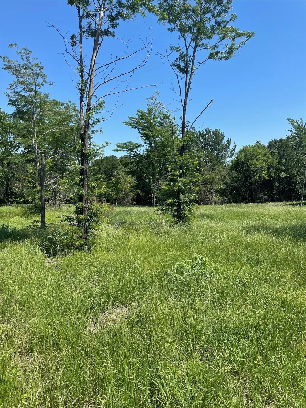 896 Blue Bird Dodd City, TX 75438