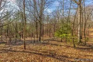 TBD Cragsmoor/Vista Maria Cragsmoor, NY 12420