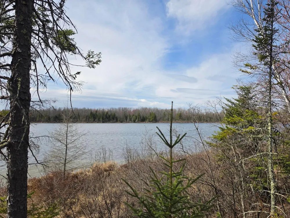 2217 Michaels Beach Road Zim, MN 55738