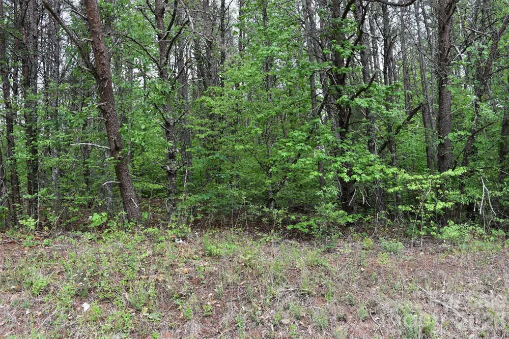 304 Moriah school Road Casar, NC 28020