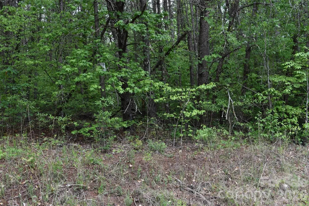 304 Moriah school Road Casar, NC 28020