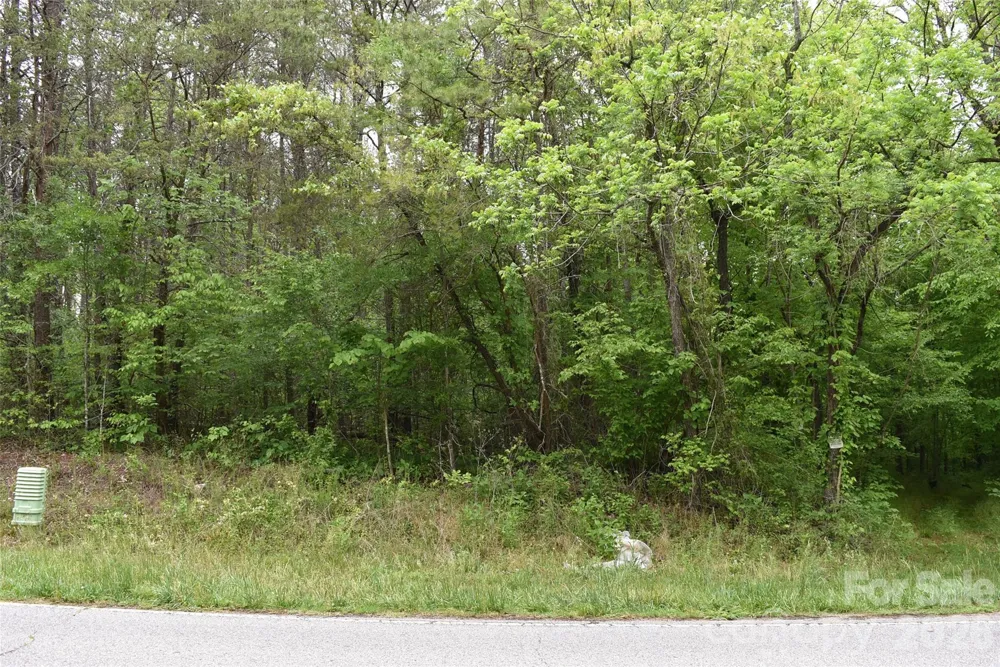 304 Moriah school Road Casar, NC 28020