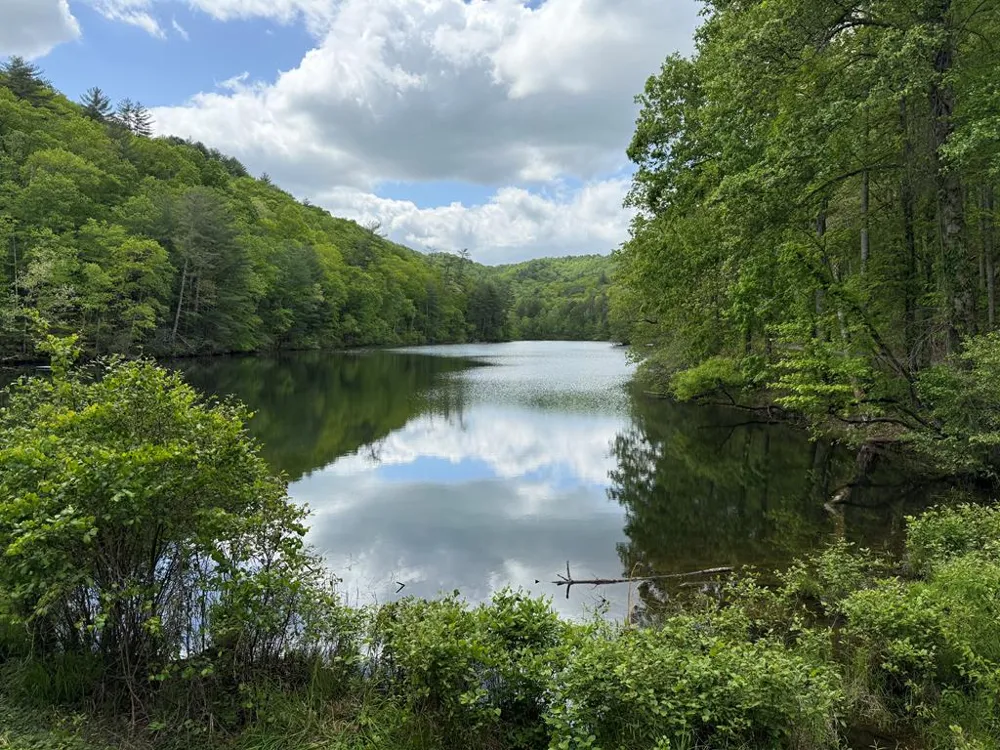 Shuler Lake Road Robbinsville, NC 28713
