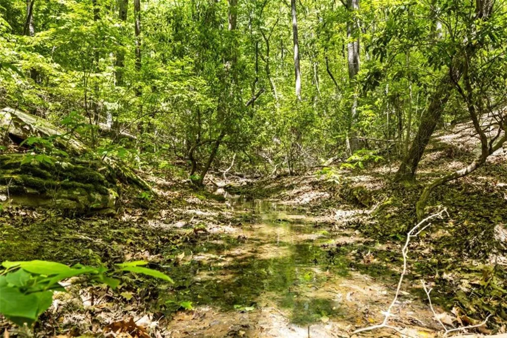 0 Neals Brow Road Menlo, GA 30731