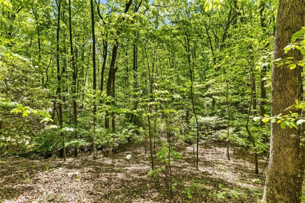 0 Neals Brow Road Menlo, GA 30731