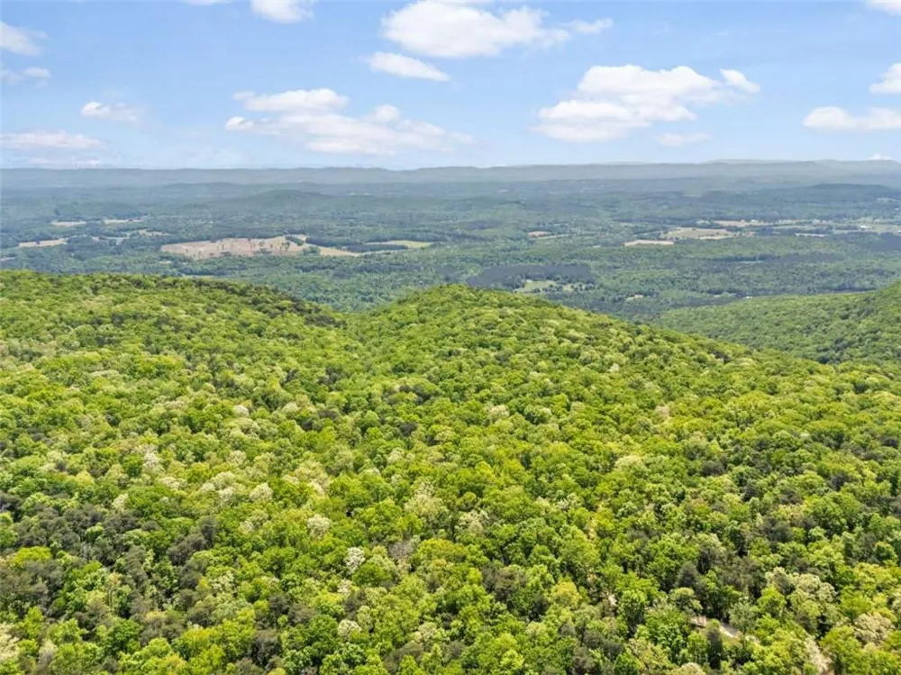 0 Neals Brow Road Menlo, GA 30731