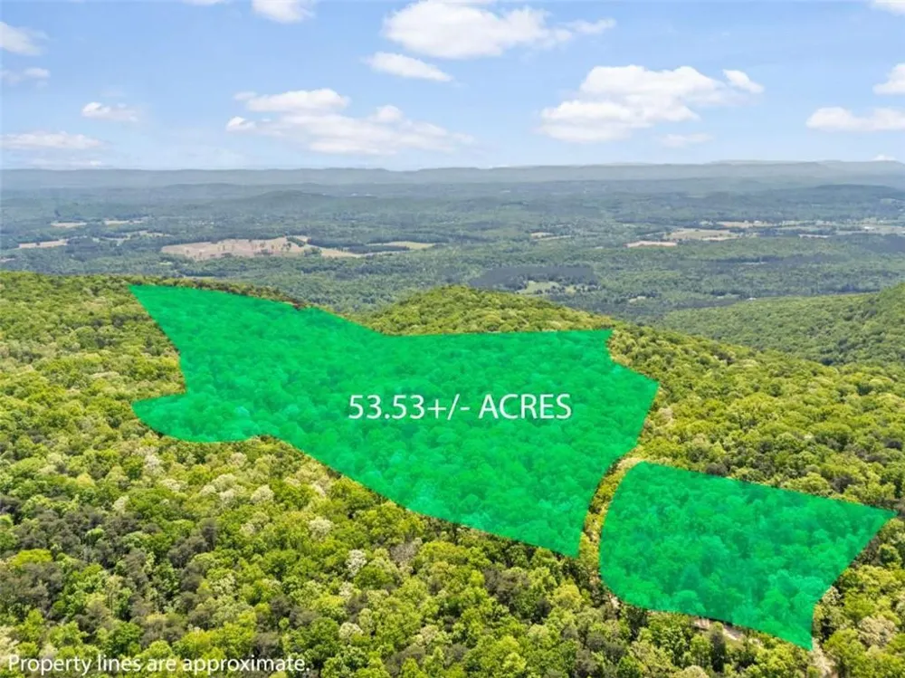0 Neals Brow Road Menlo, GA 30731