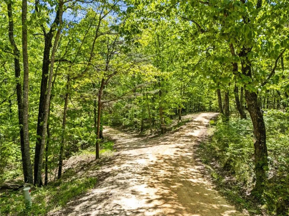 0 Neals Brow Road Menlo, GA 30731