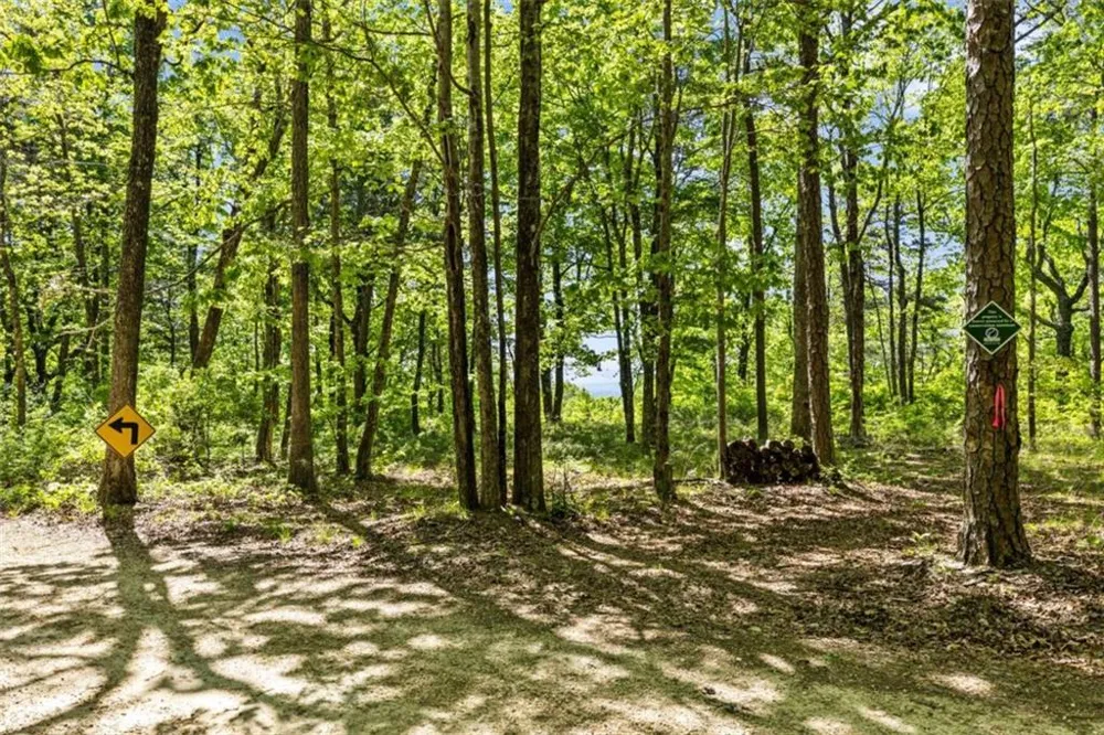 0 Neals Brow Road Menlo, GA 30731