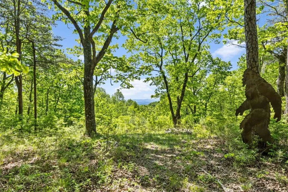 0 Neals Brow Road Menlo, GA 30731