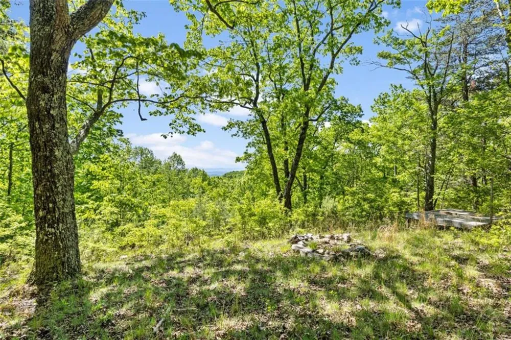 0 Neals Brow Road Menlo, GA 30731