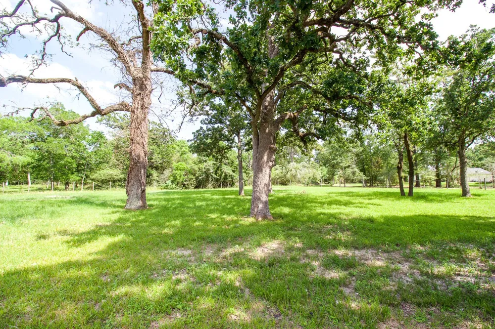 54 Windmill Drive Hempstead, TX 77445