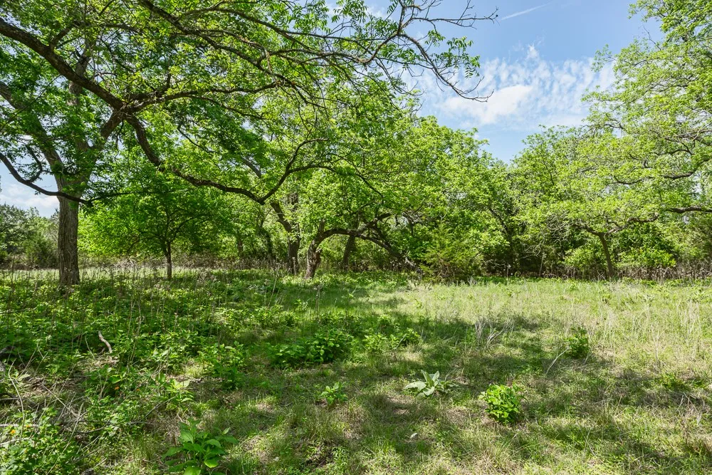 127 El Nopal Drive Blanco, TX 78606