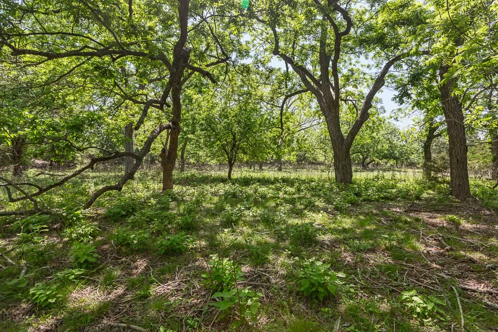 127 El Nopal Drive Blanco, TX 78606