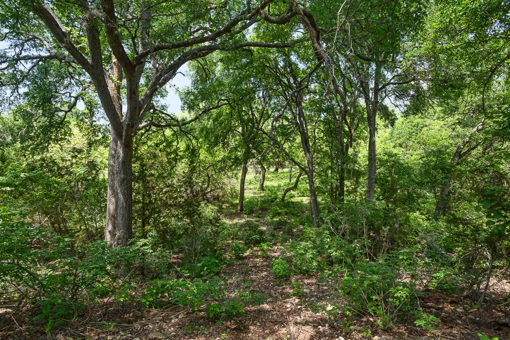 127 El Nopal Drive Blanco, TX 78606