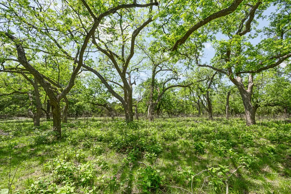 127 El Nopal Drive Blanco, TX 78606
