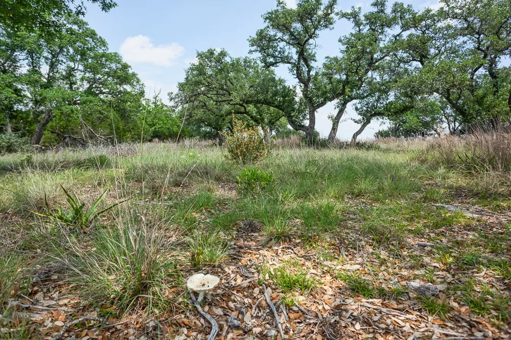 127 El Nopal Drive Blanco, TX 78606