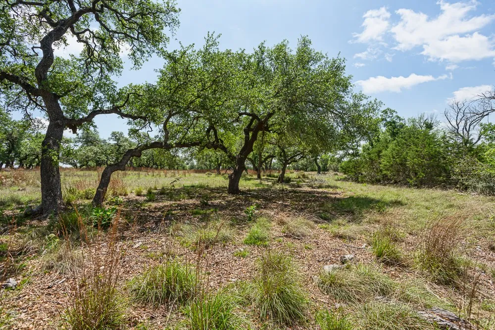 127 El Nopal Drive Blanco, TX 78606