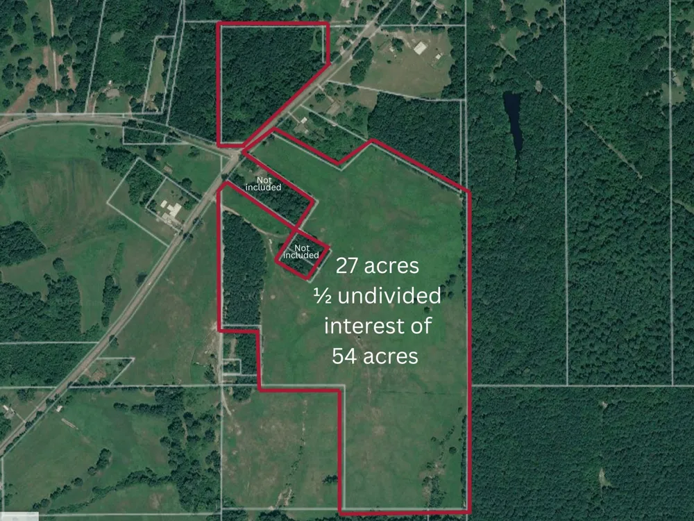 Percy Burns Road Springhill, LA 71075