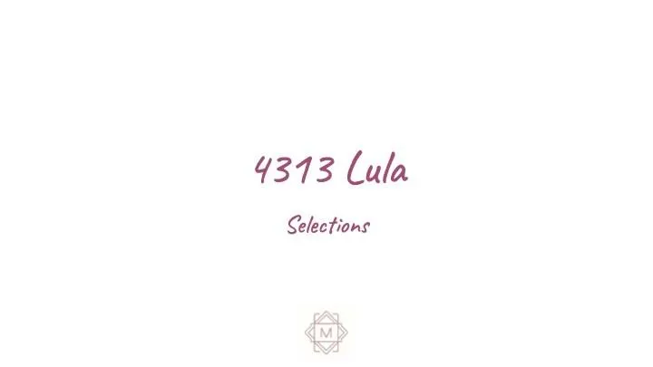 4313 Lula Street Bellaire, TX 77401