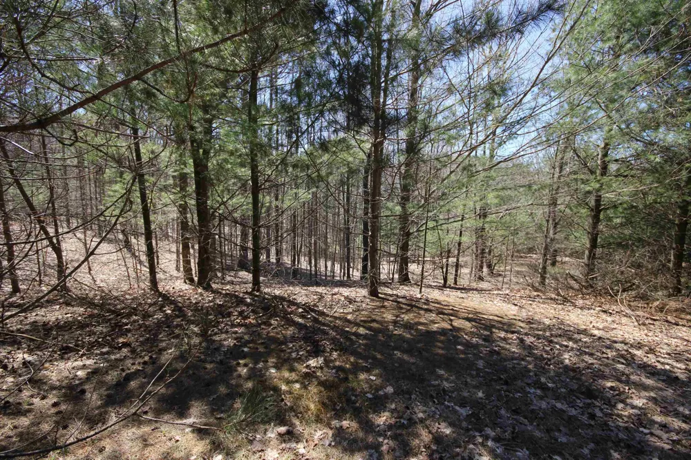 Maple View Drive Central Lake Township, MI 49662