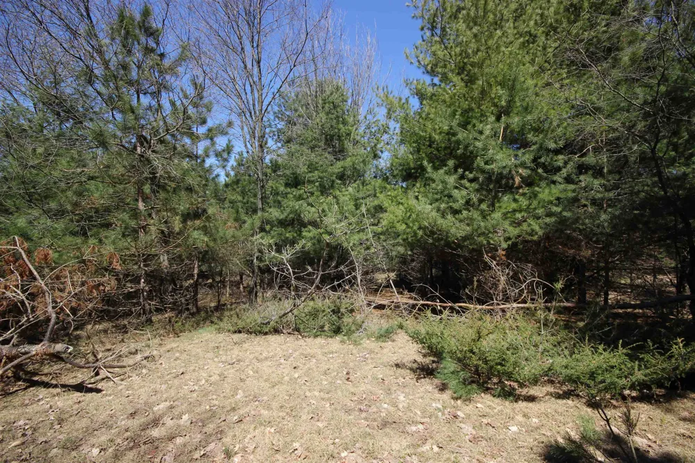 Maple View Drive Central Lake Township, MI 49662