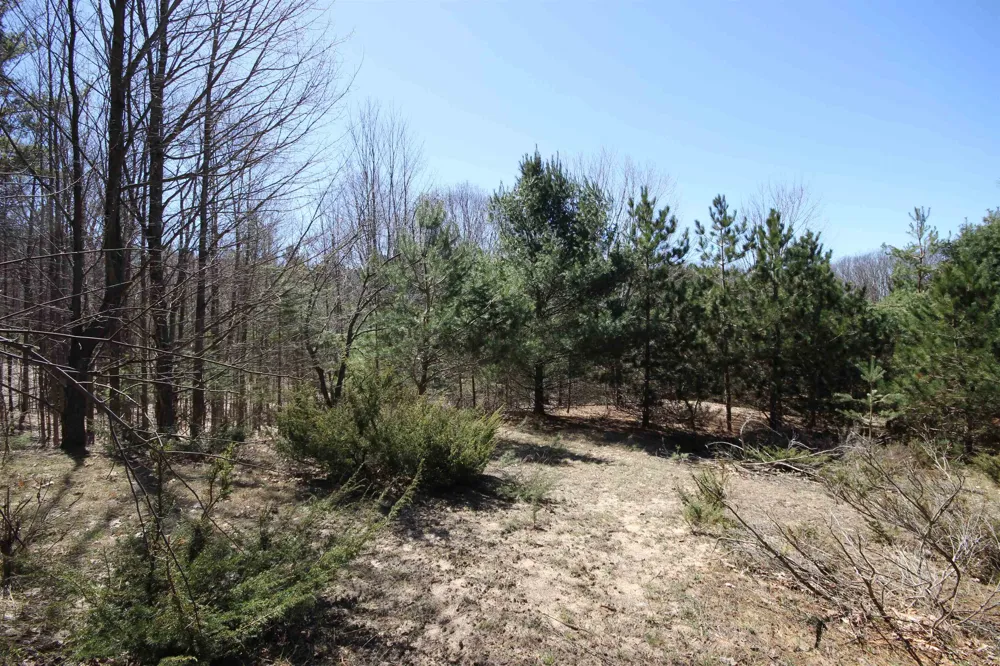 Maple View Drive Central Lake Township, MI 49662