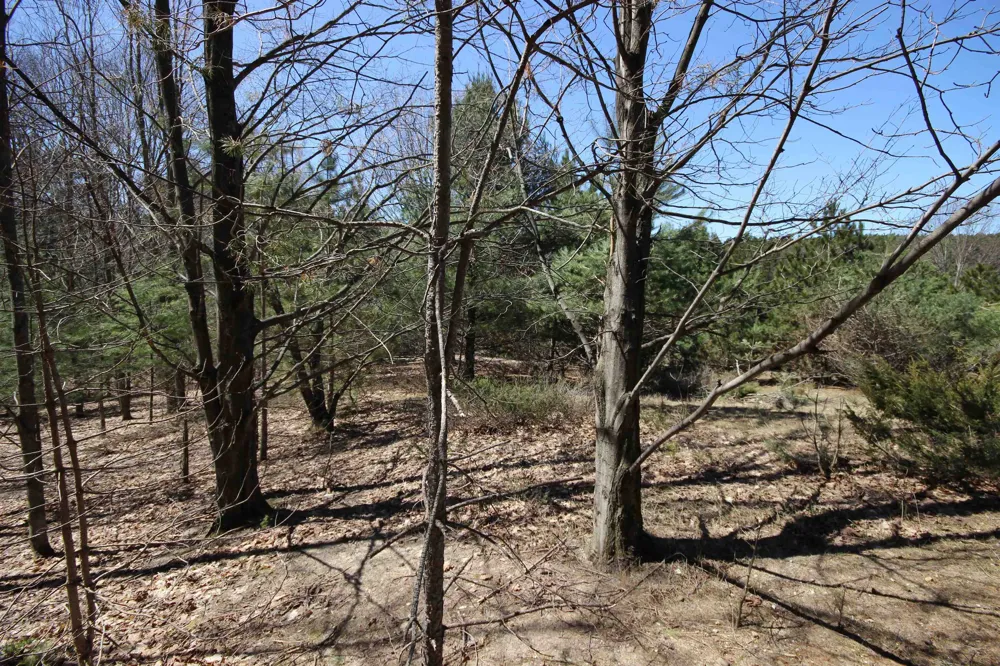 Maple View Drive Central Lake Township, MI 49662