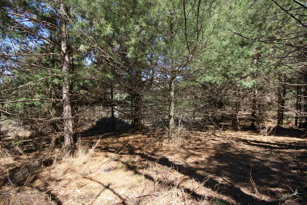 Maple View Drive Central Lake Township, MI 49662