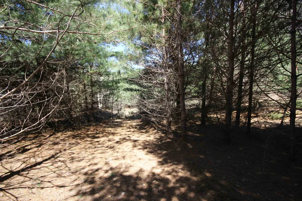 Maple View Drive Central Lake Township, MI 49662
