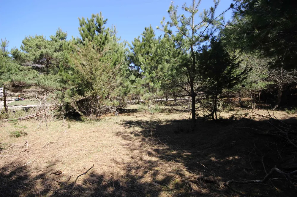 Maple View Drive Central Lake Township, MI 49662