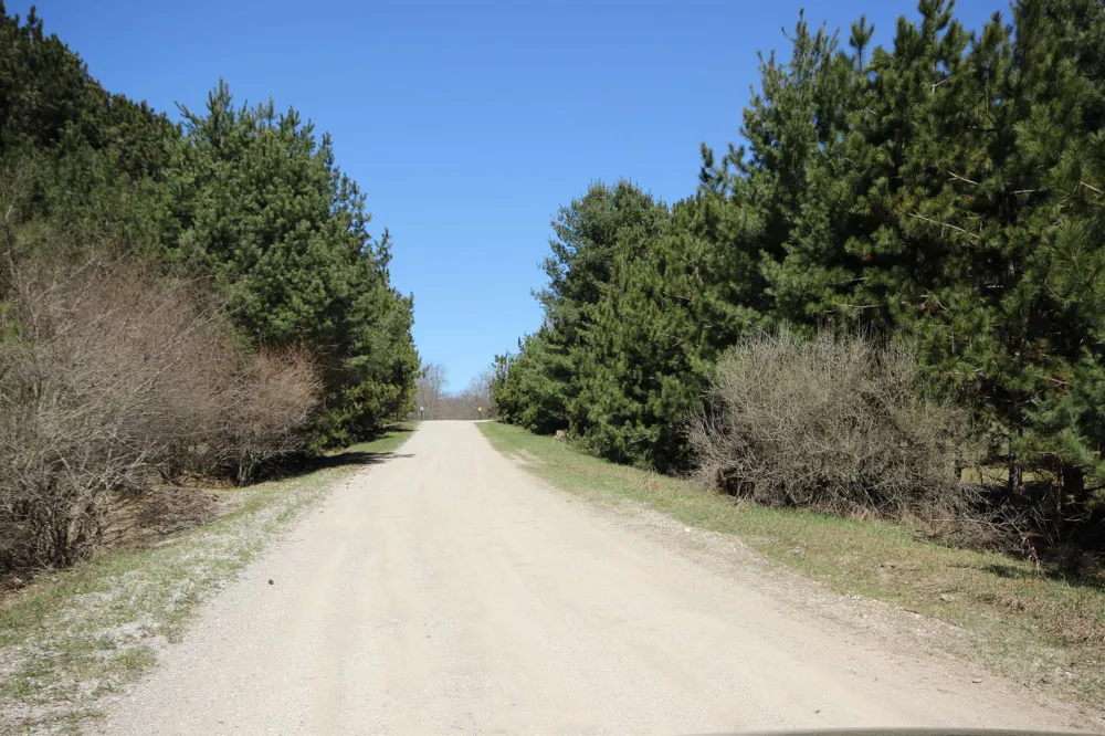Maple View Drive Central Lake Township, MI 49662