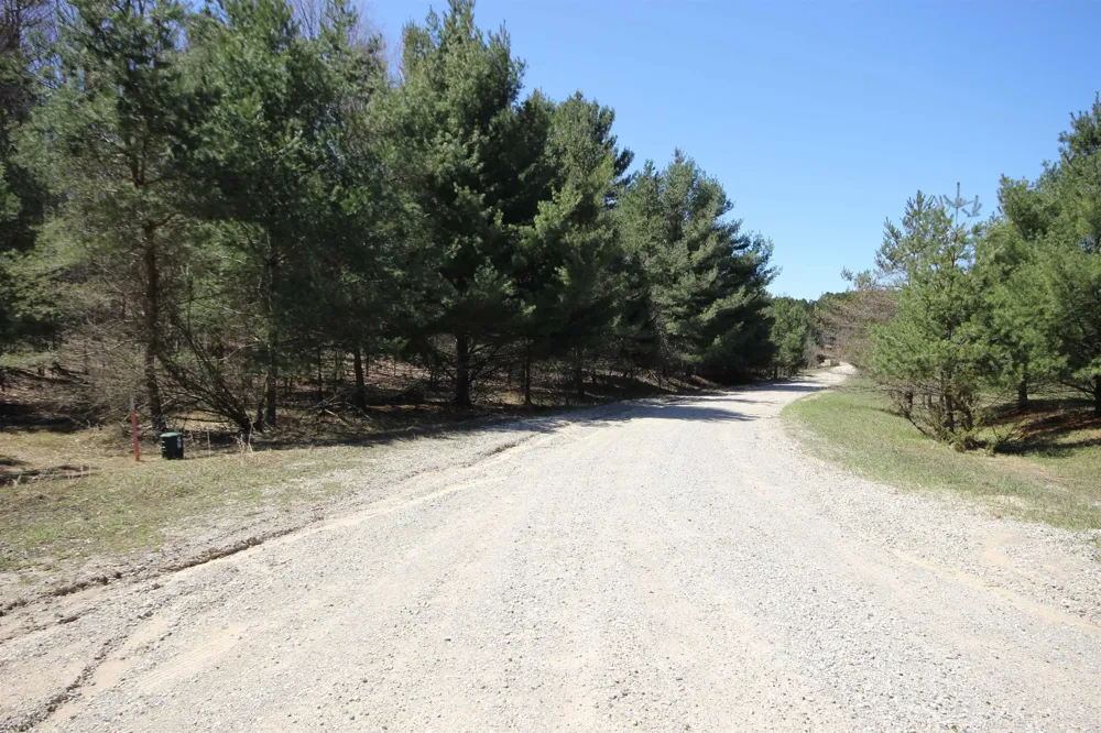 Maple View Drive Central Lake Township, MI 49662