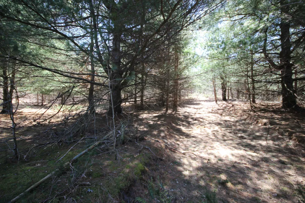 Maple View Drive Central Lake Township, MI 49662