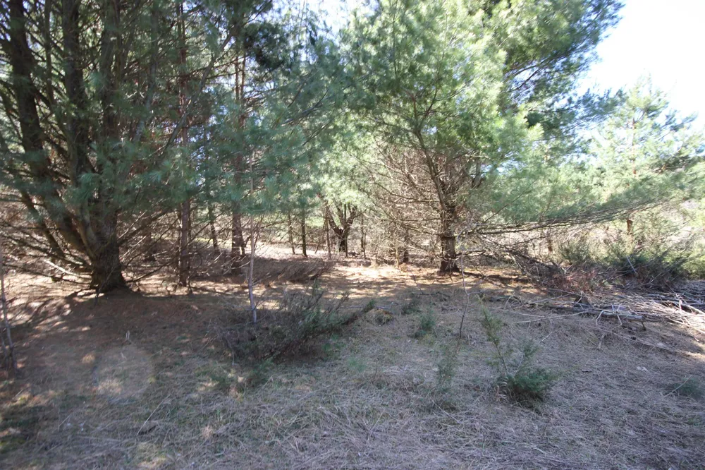 Maple View Drive Central Lake Township, MI 49662