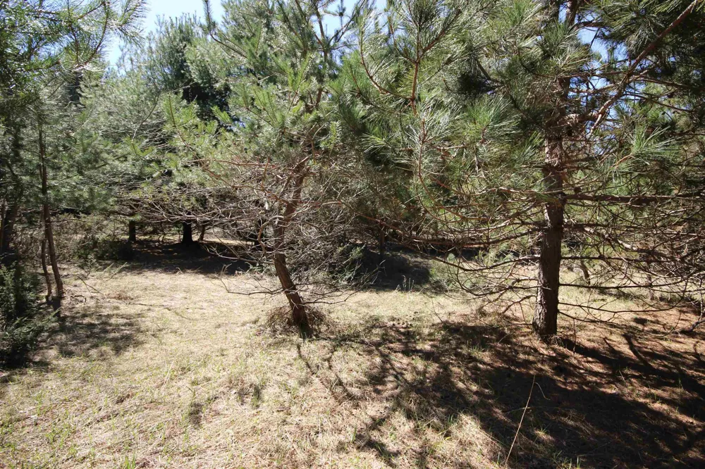 Maple View Drive Central Lake Township, MI 49662