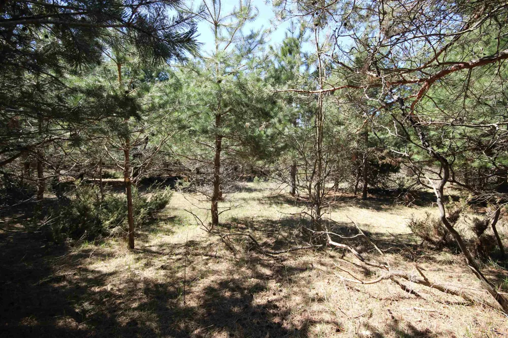 Maple View Drive Central Lake Township, MI 49662