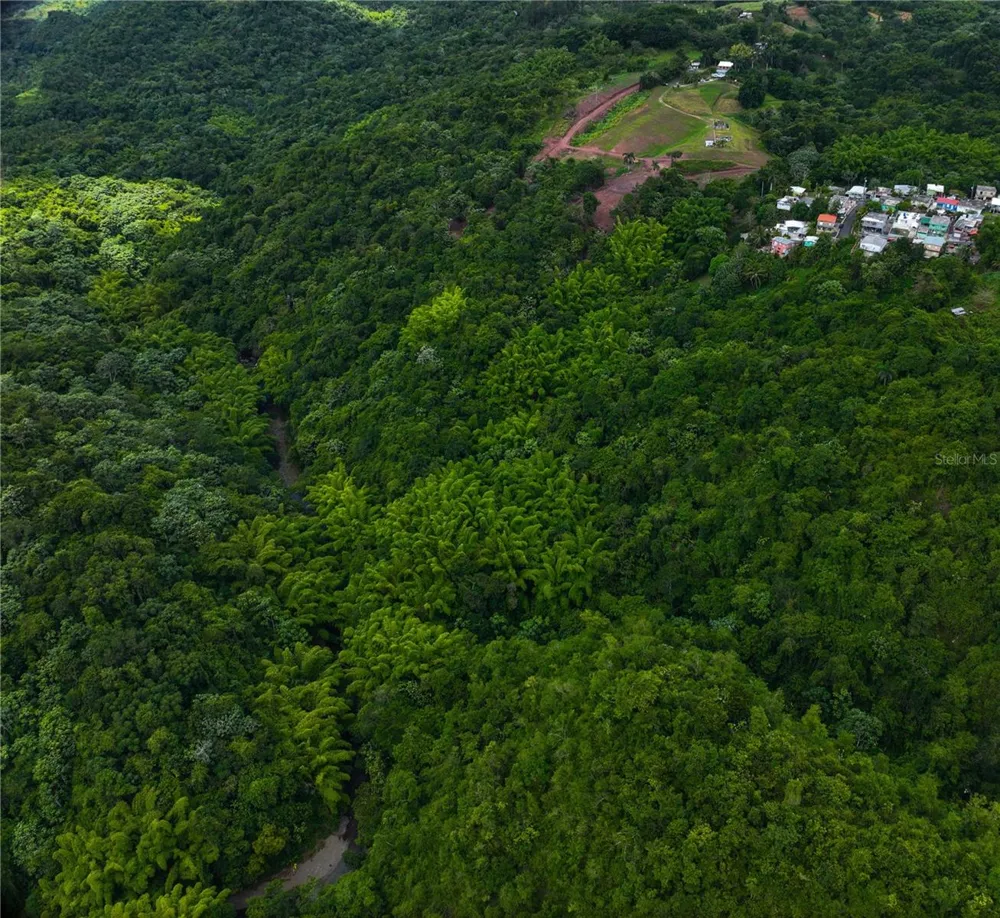 SR 146 Km. 19.4 Interior BO CORDILLERA Ciales, PR 00638