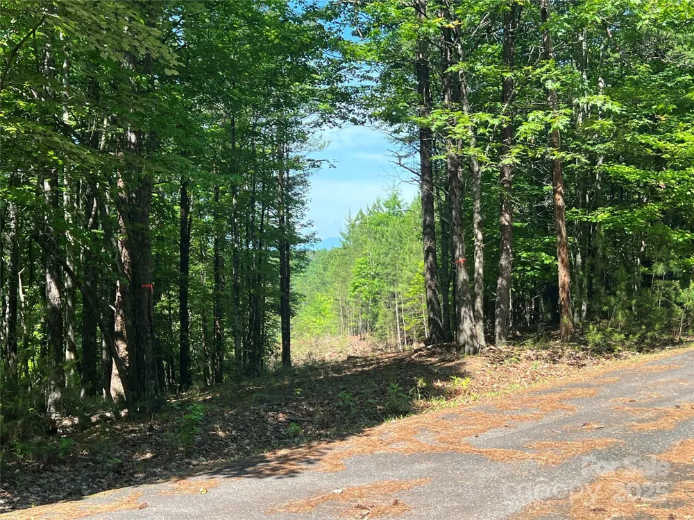0 South Mountain Drive #16 Nebo, NC 28761