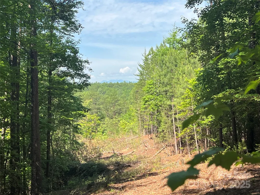 0 South Mountain Drive #16 Nebo, NC 28761