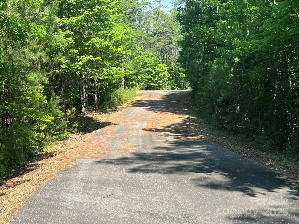 0 South Mountain Drive #16 Nebo, NC 28761