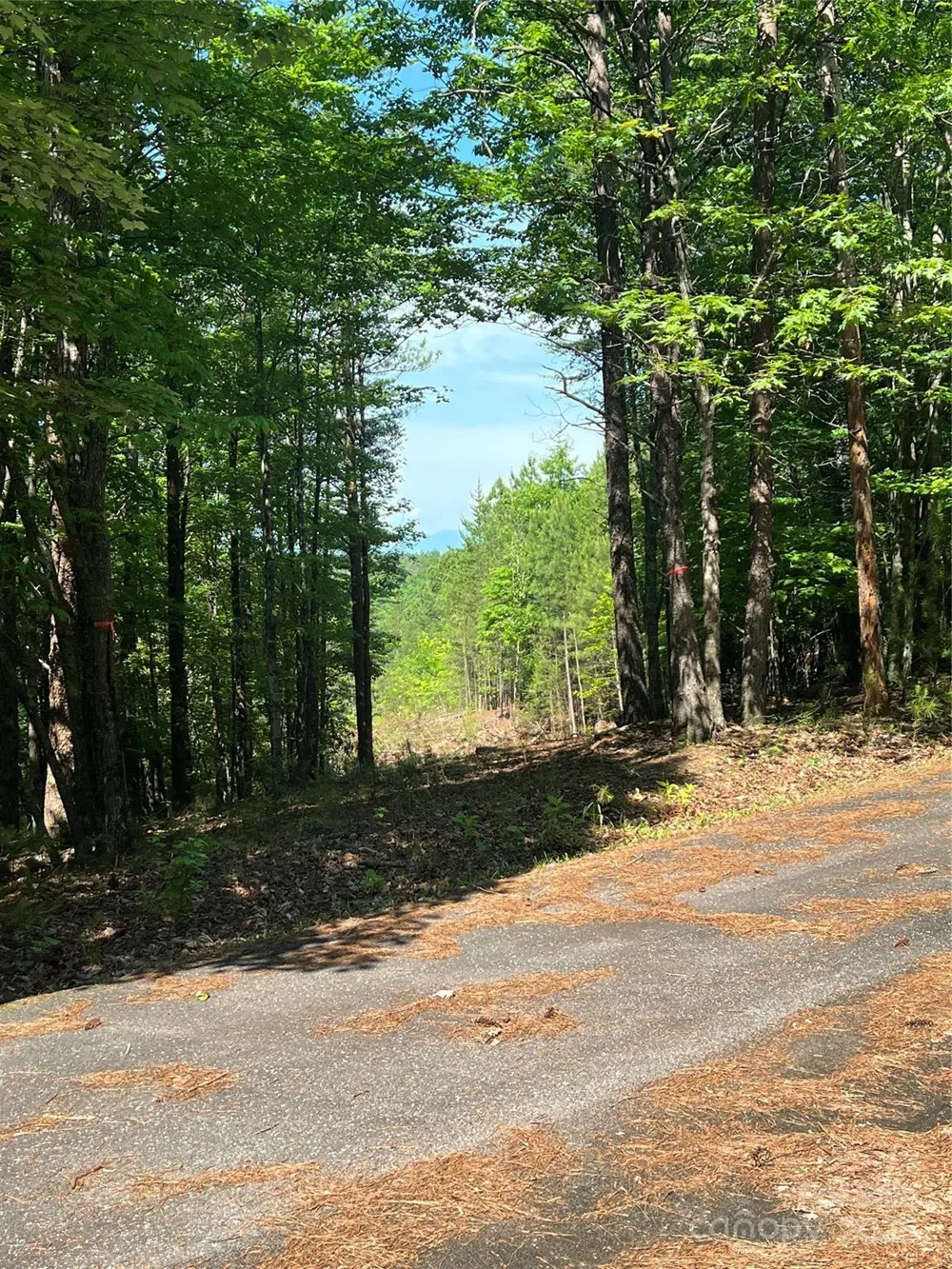 0 South Mountain Drive #16 Nebo, NC 28761