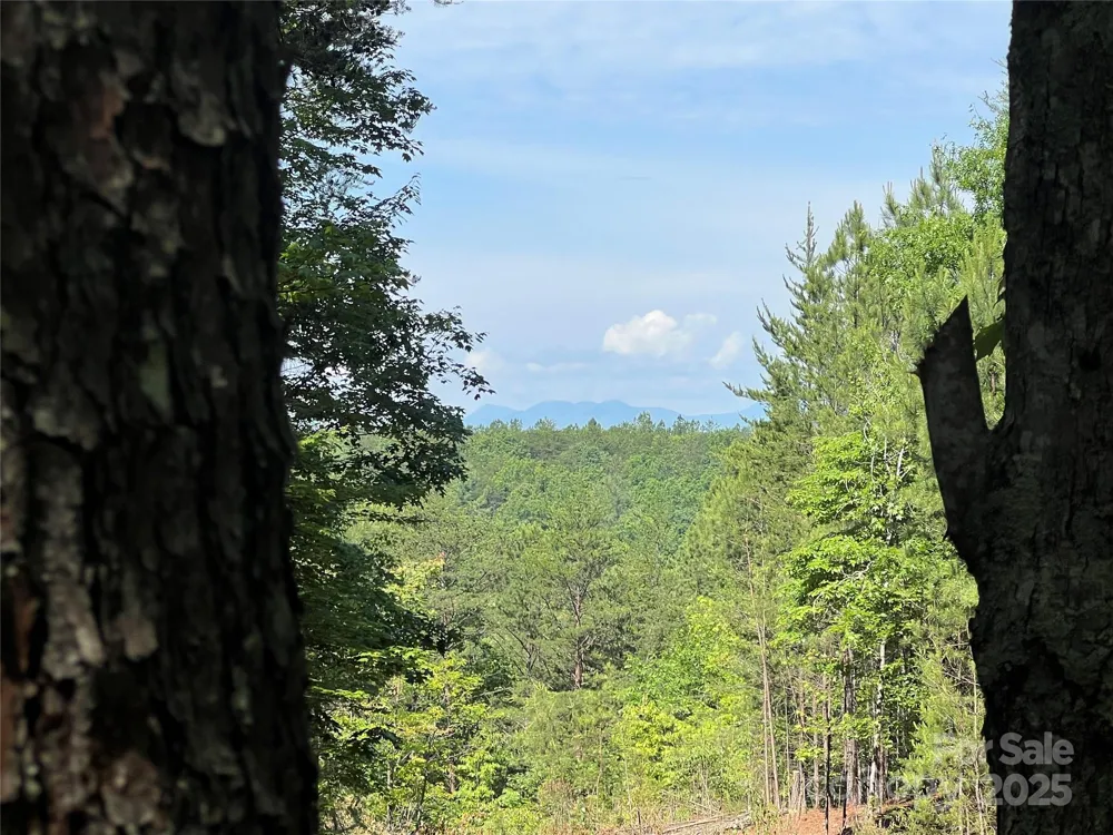 0 South Mountain Drive #16 Nebo, NC 28761