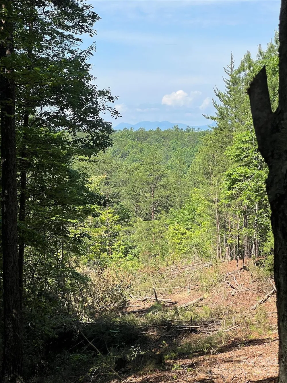0 South Mountain Drive #16 Nebo, NC 28761