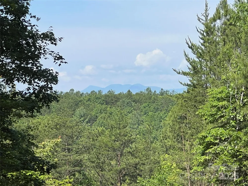 0 South Mountain Drive #16 Nebo, NC 28761
