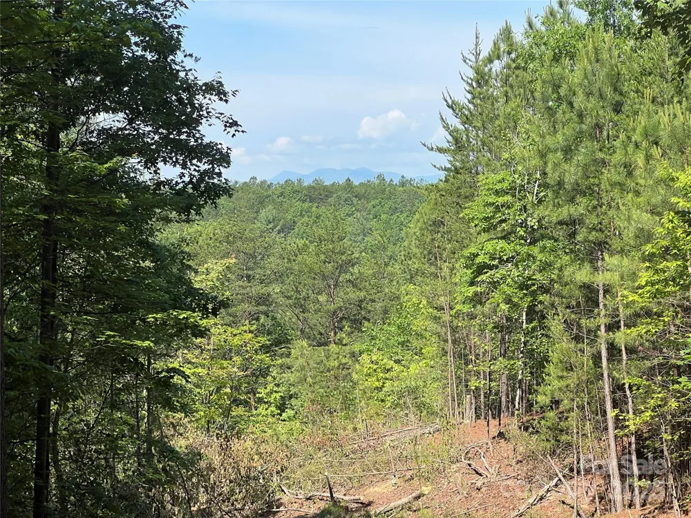 0 South Mountain Drive #16 Nebo, NC 28761