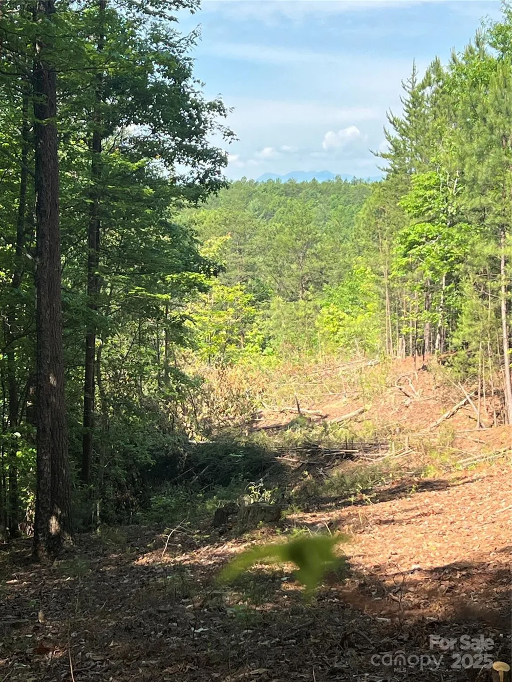 0 South Mountain Drive #16 Nebo, NC 28761