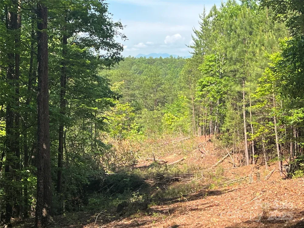 0 South Mountain Drive #16 Nebo, NC 28761