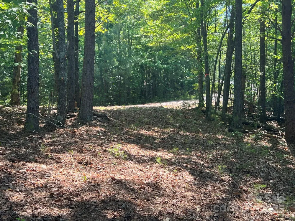 0 South Mountain Drive #16 Nebo, NC 28761